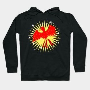 Fenix shine Hoodie